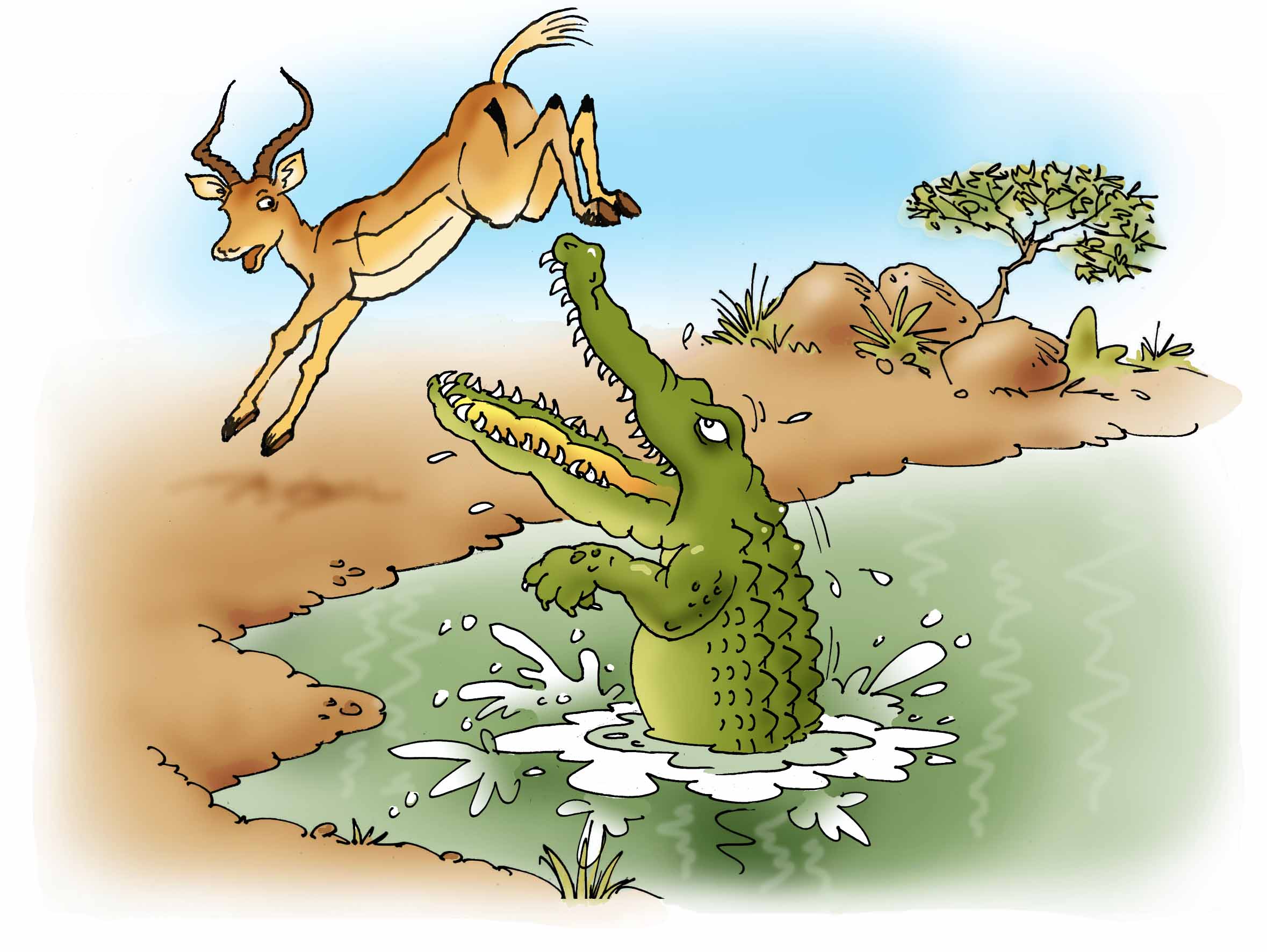 Cartoon image Crocodile and Impala miss at Sweni Hide in the Kruger National Park