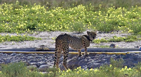 One of our best routes - Lower dune road