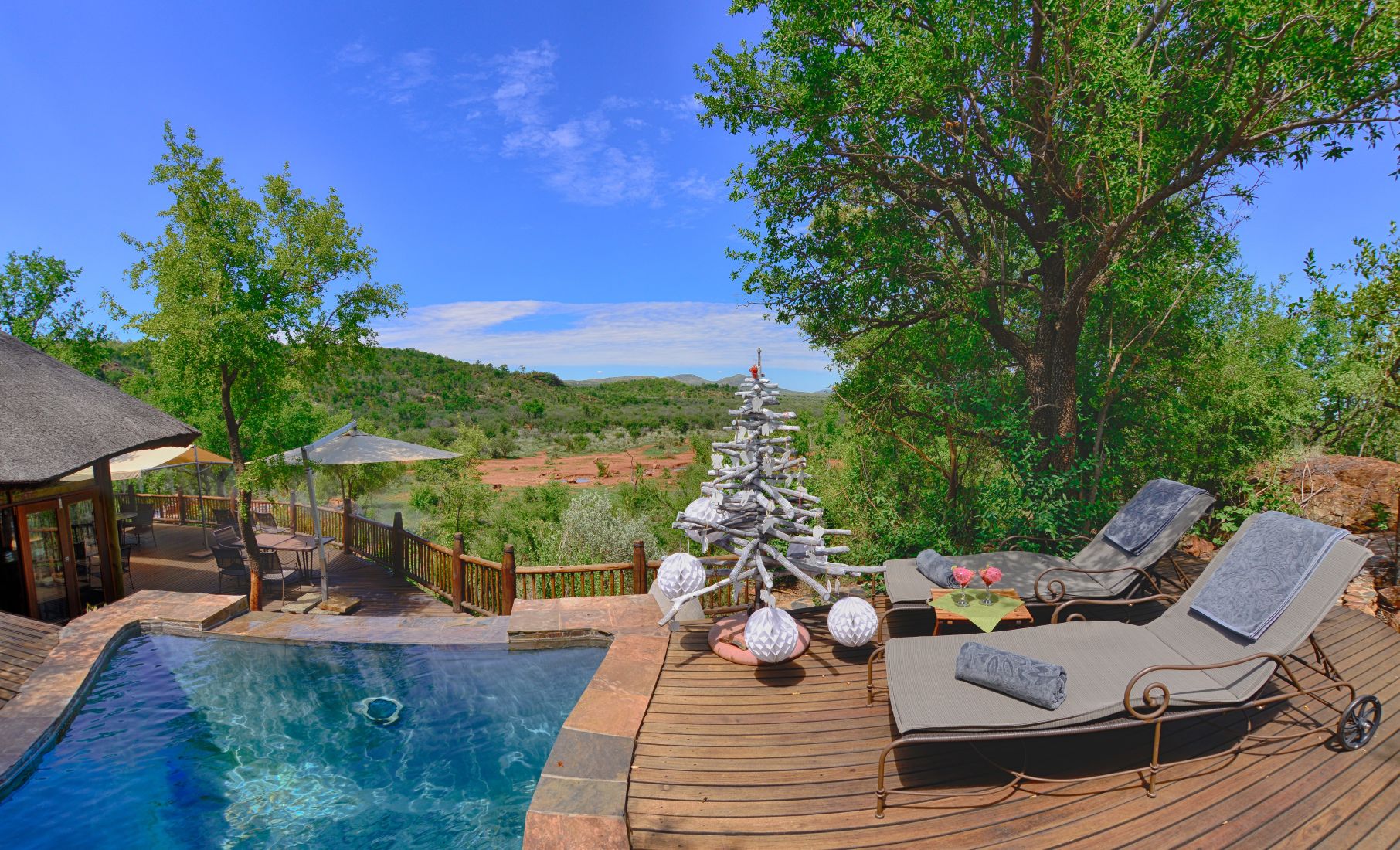 Christmas tree at the swimming pool over looking the waterhole at Etali Safari Lodge