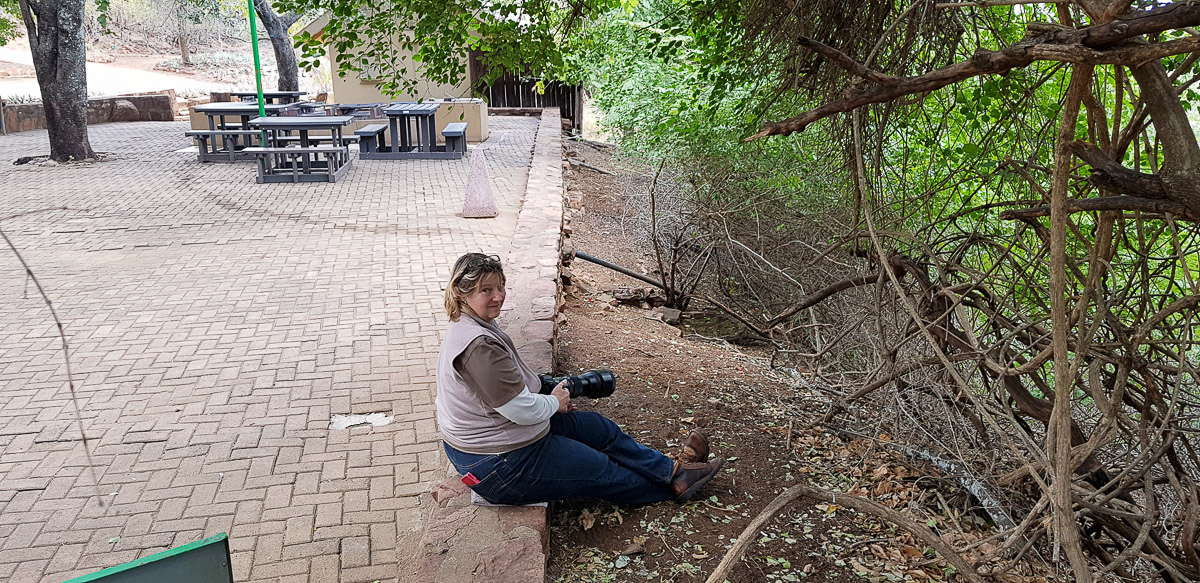 Communal braai area and bird bath at Punda