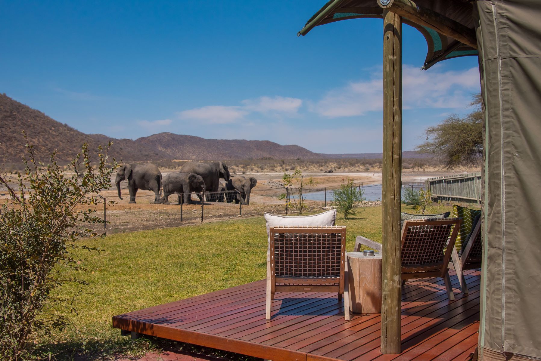 Tau view of elephant from lounge Tau view of elephant from lounge