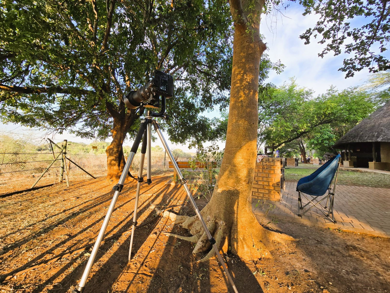 Croc bridge camera setup