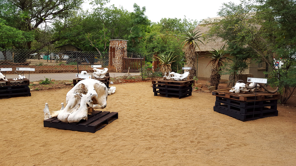 Crocodile Bridge outdoor information centre