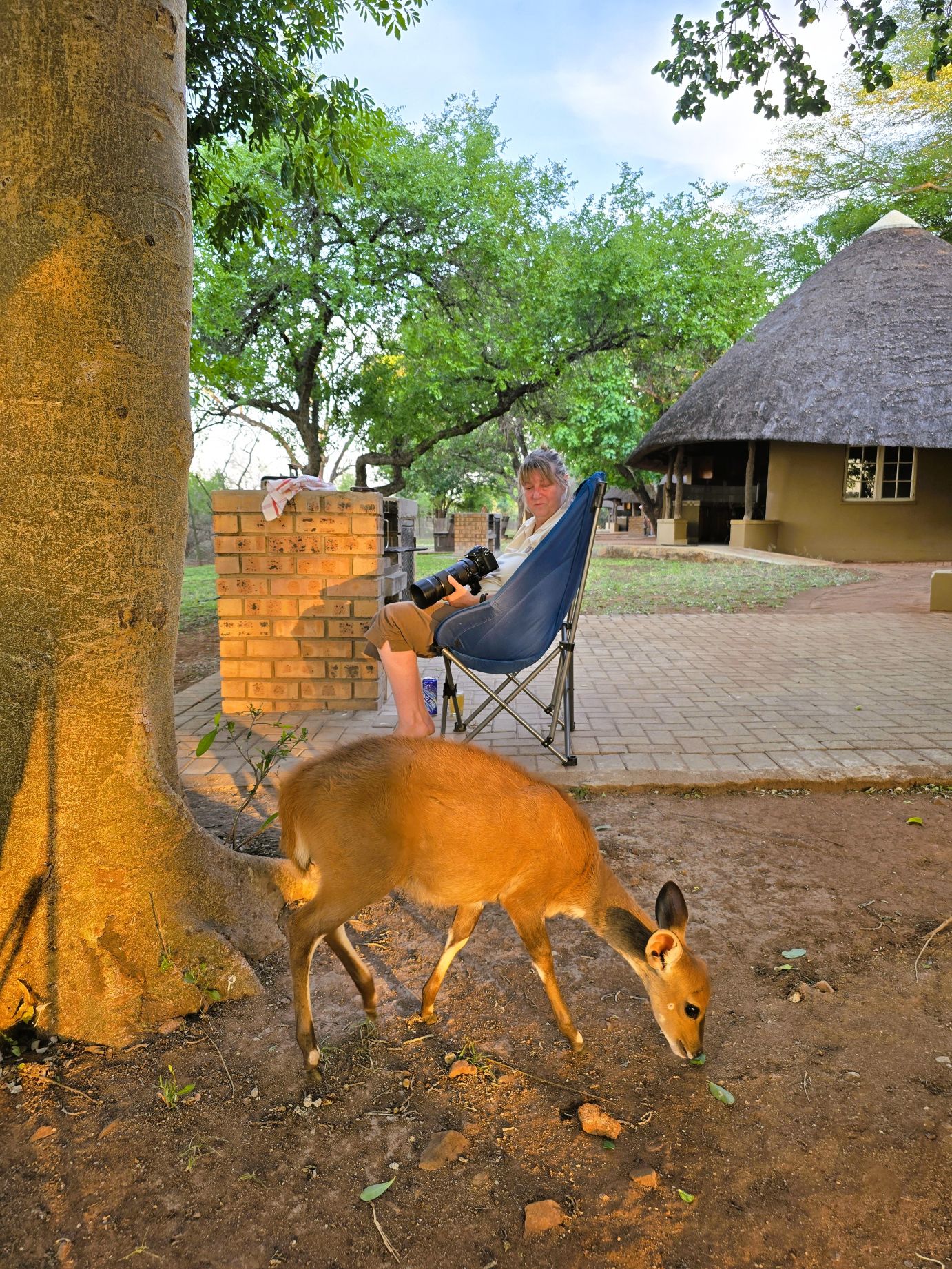 Bush Buck at Crocodile Bridge Camp