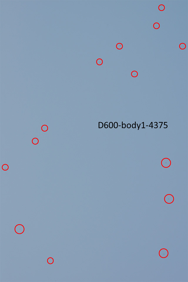 nikon d600 sensor