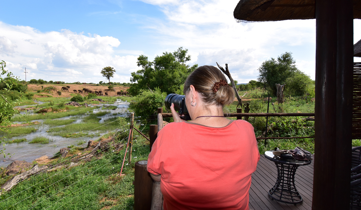 Jenny shooting elephants from our chalet at Madikwe River Lodge