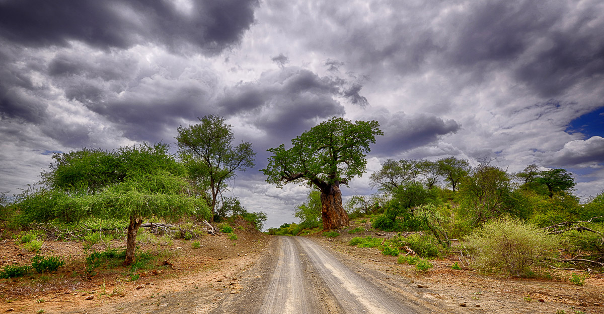 Dark skies along the S63 in the Pafuri area on the Kruger National Park