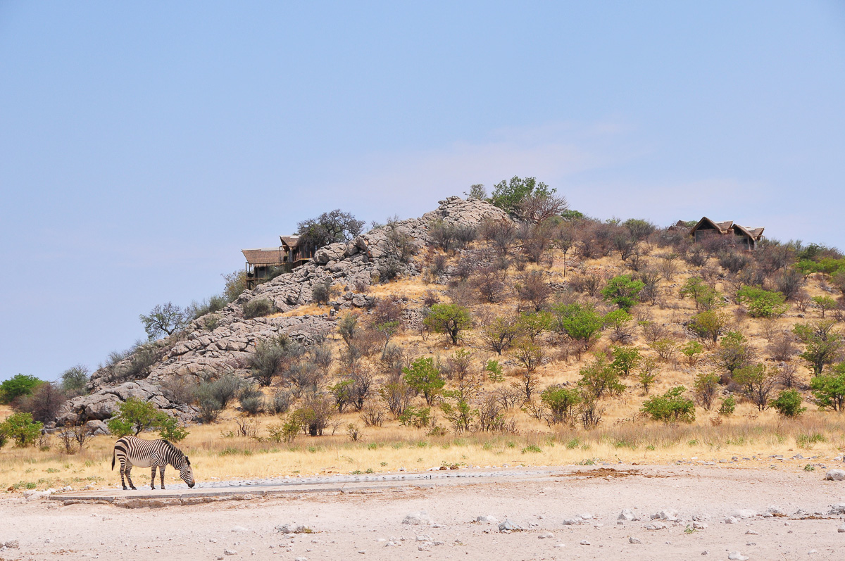Dolomite camp from the waterhole
