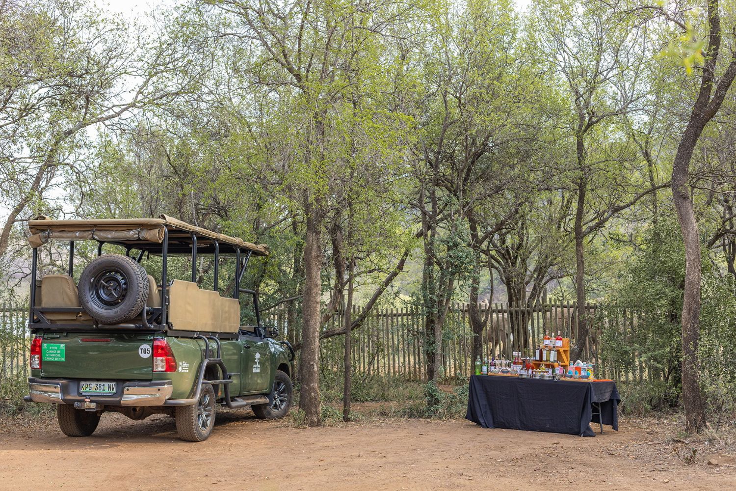 Drink stop with Ivory Tree