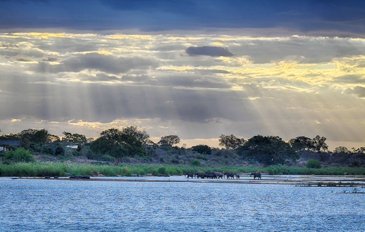 Elephant herd at Sunset walking past Lower Sabie Camp, image taken from the Low Level Bridge on the H10 in the Kruger National Park