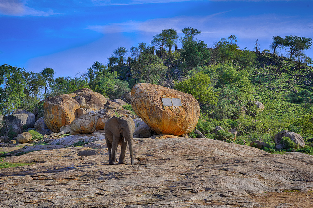 HDR image of an elephant on the rocks near the Kruger Tablets