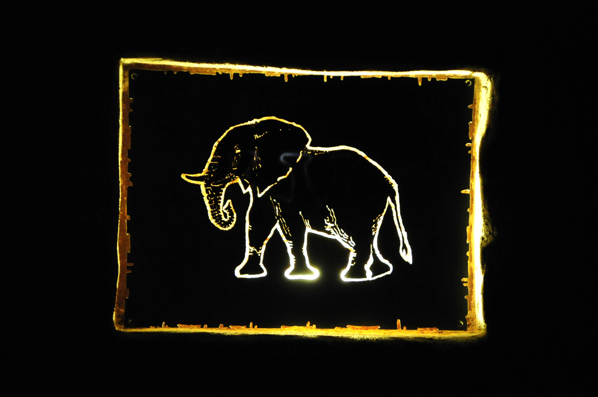 Elephant light near Okaukuejo waterhole