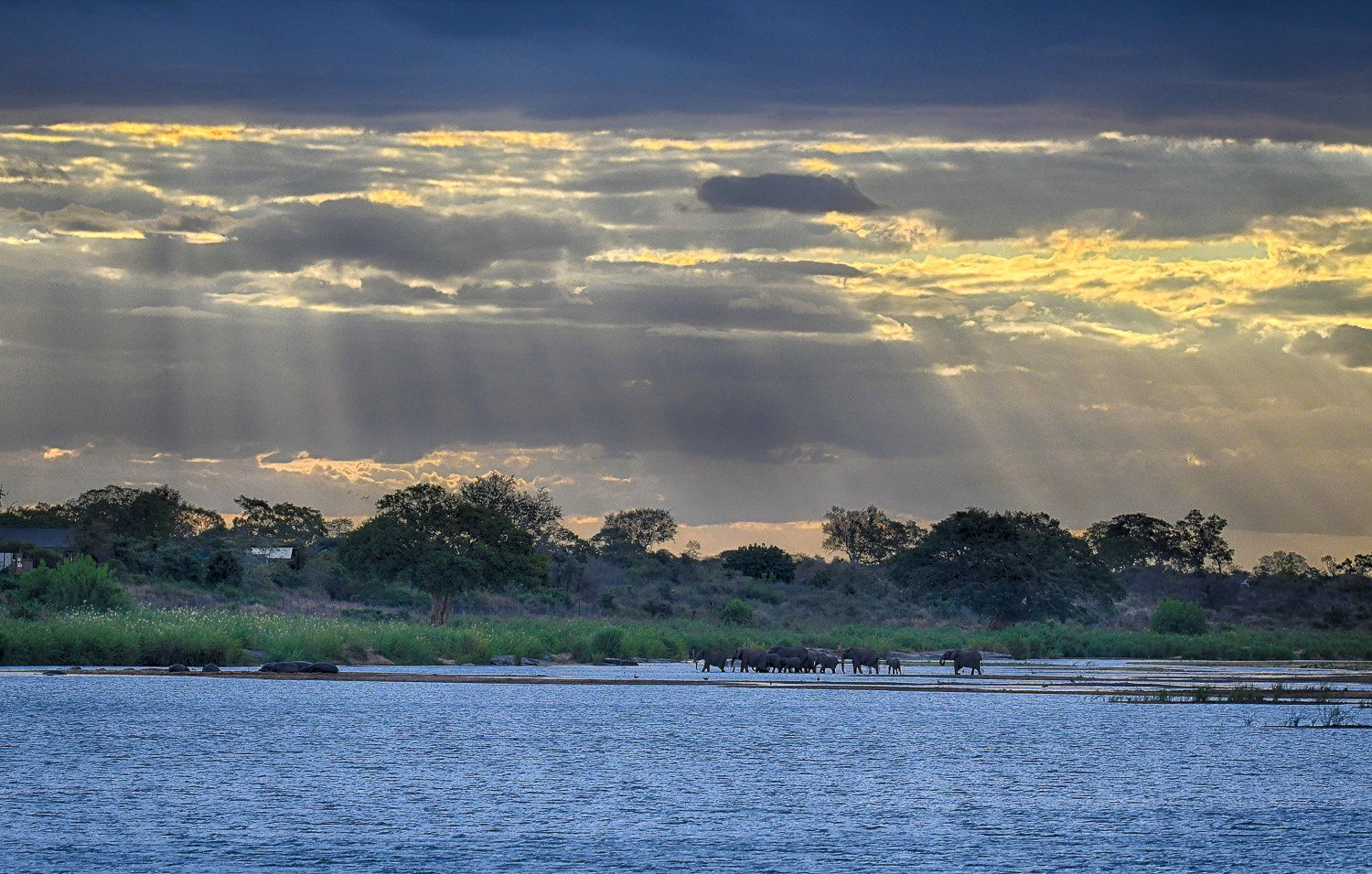 Lower Sabie Elephants crossing