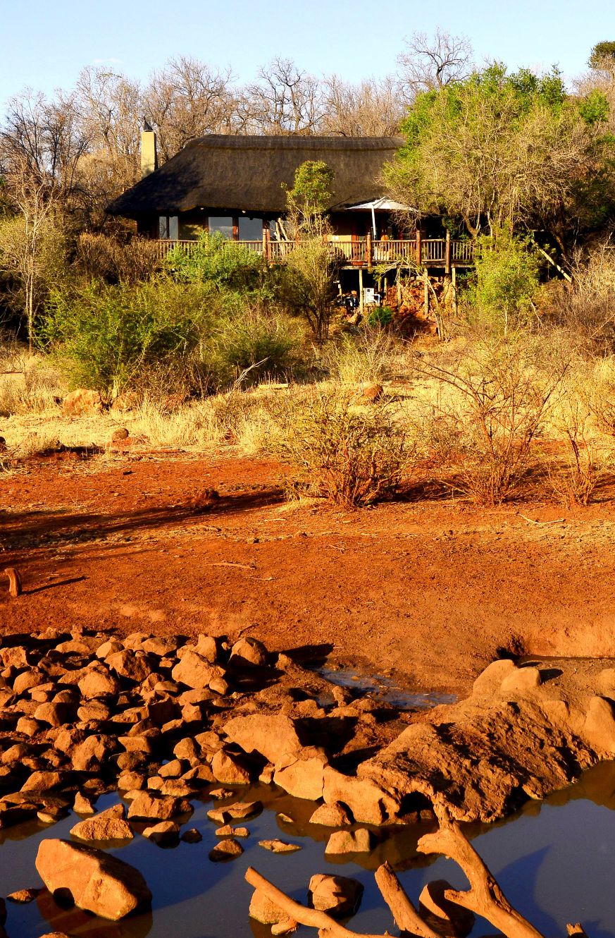 Etali Safari Lodge suite view from waterhole