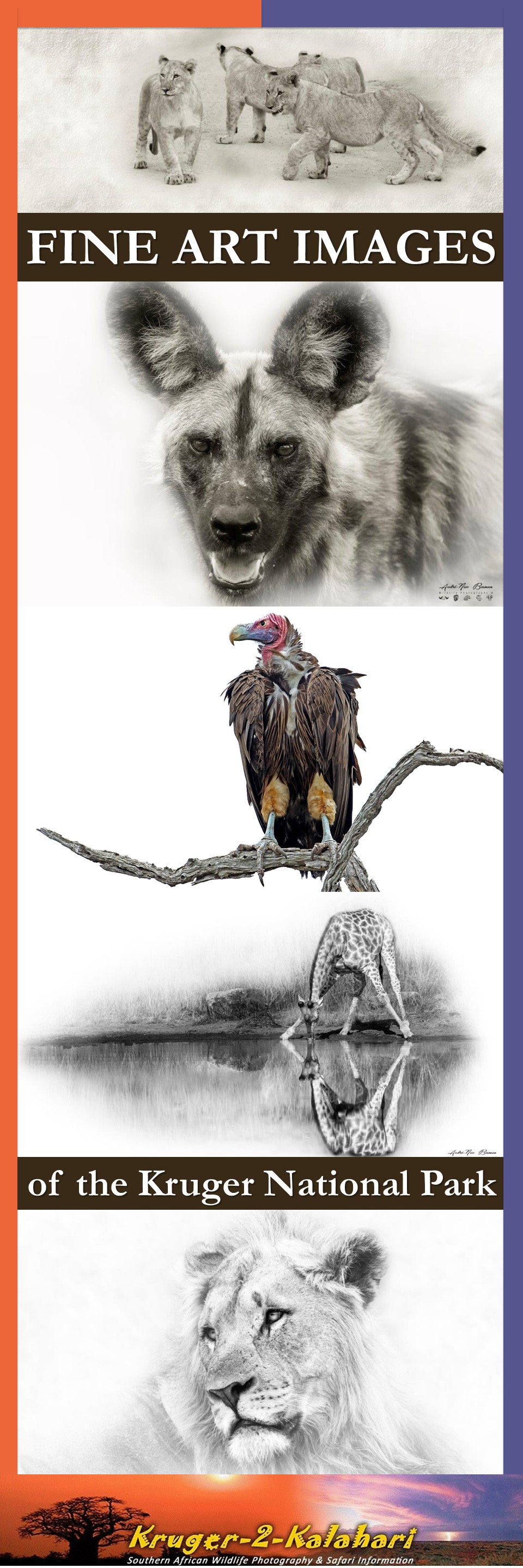 Fine art images of the Kruger National Park