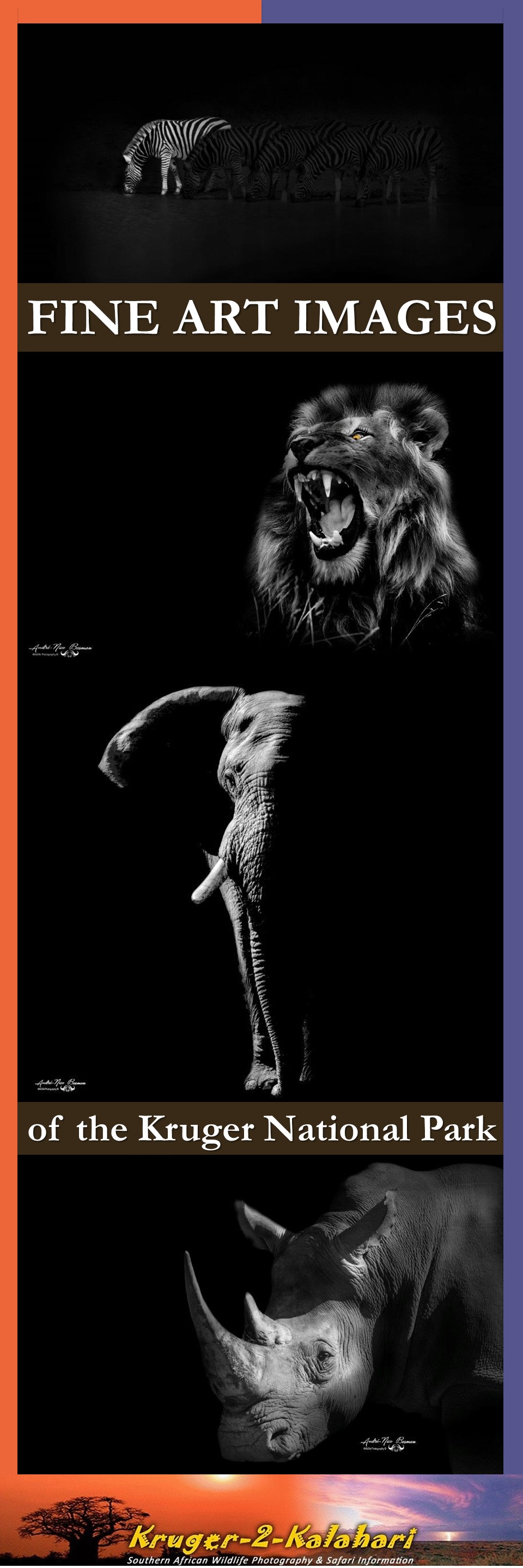 Fine art images of the Kruger Park