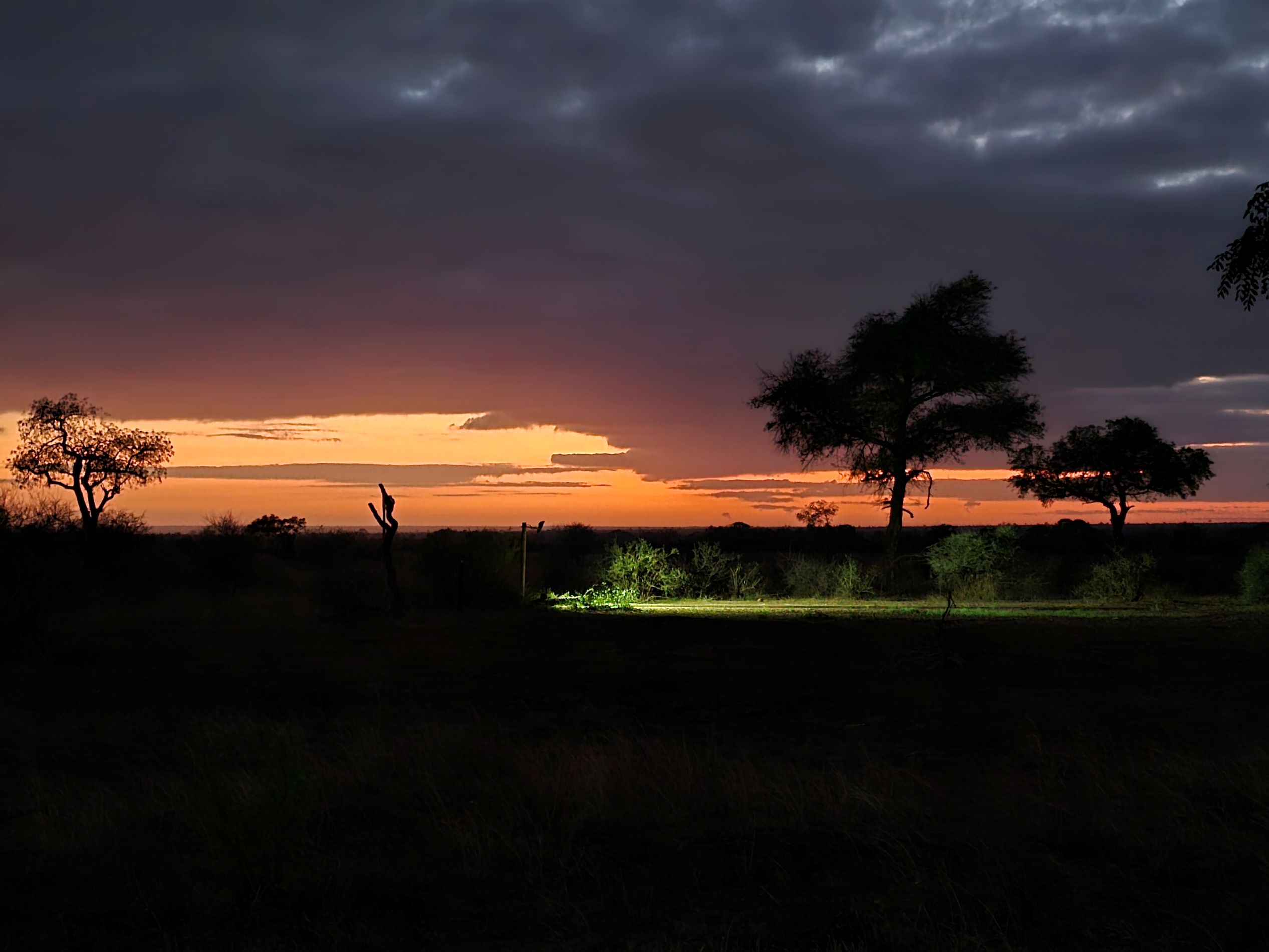 Floodlit waterhole at Satara camp in the Kruger