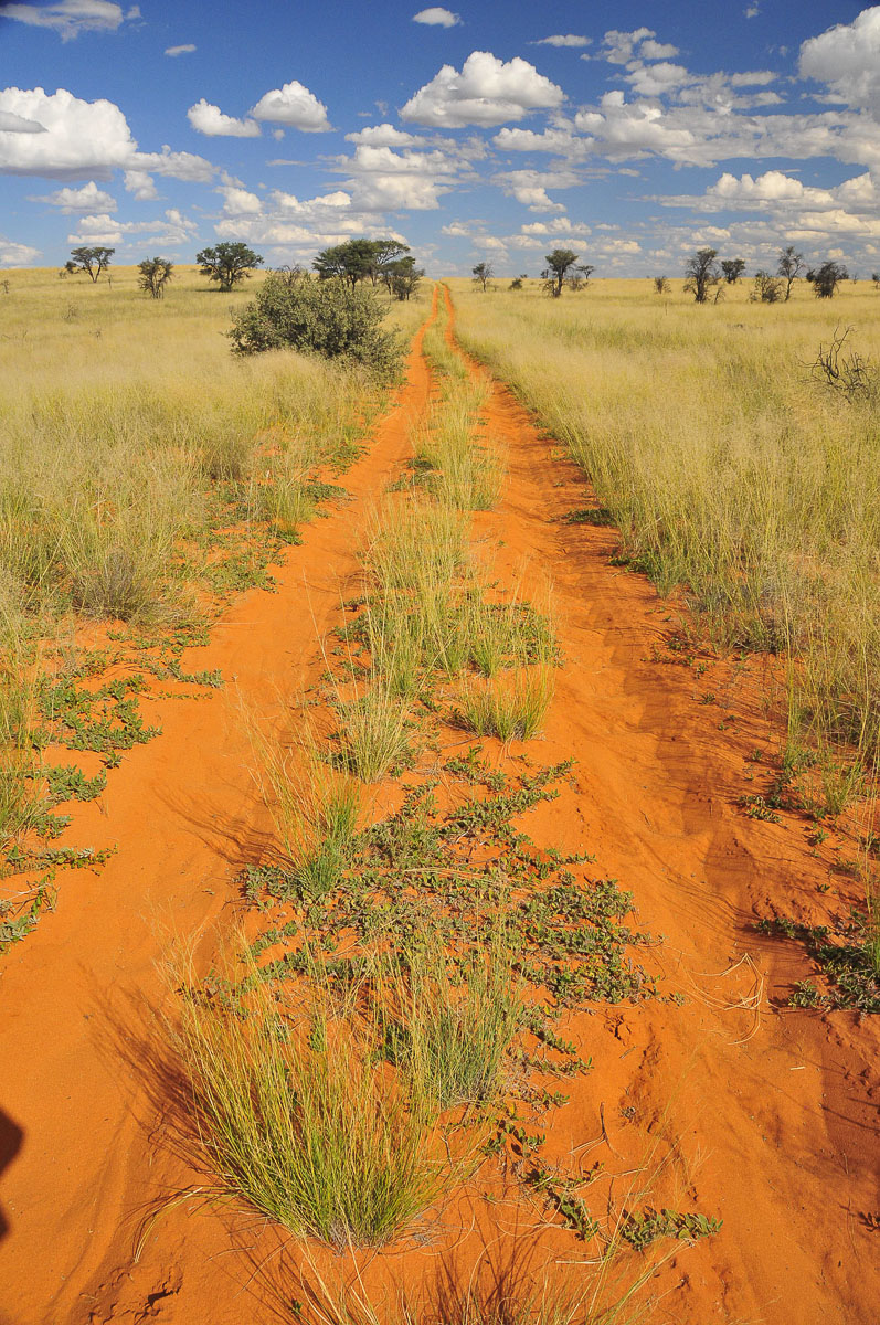 The sand road that leads to Gharagab Wilderness Camp