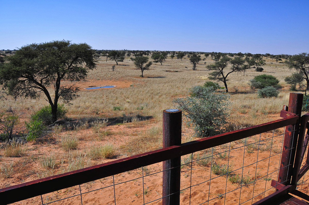 view of the Gharagab waterhole from the cabin