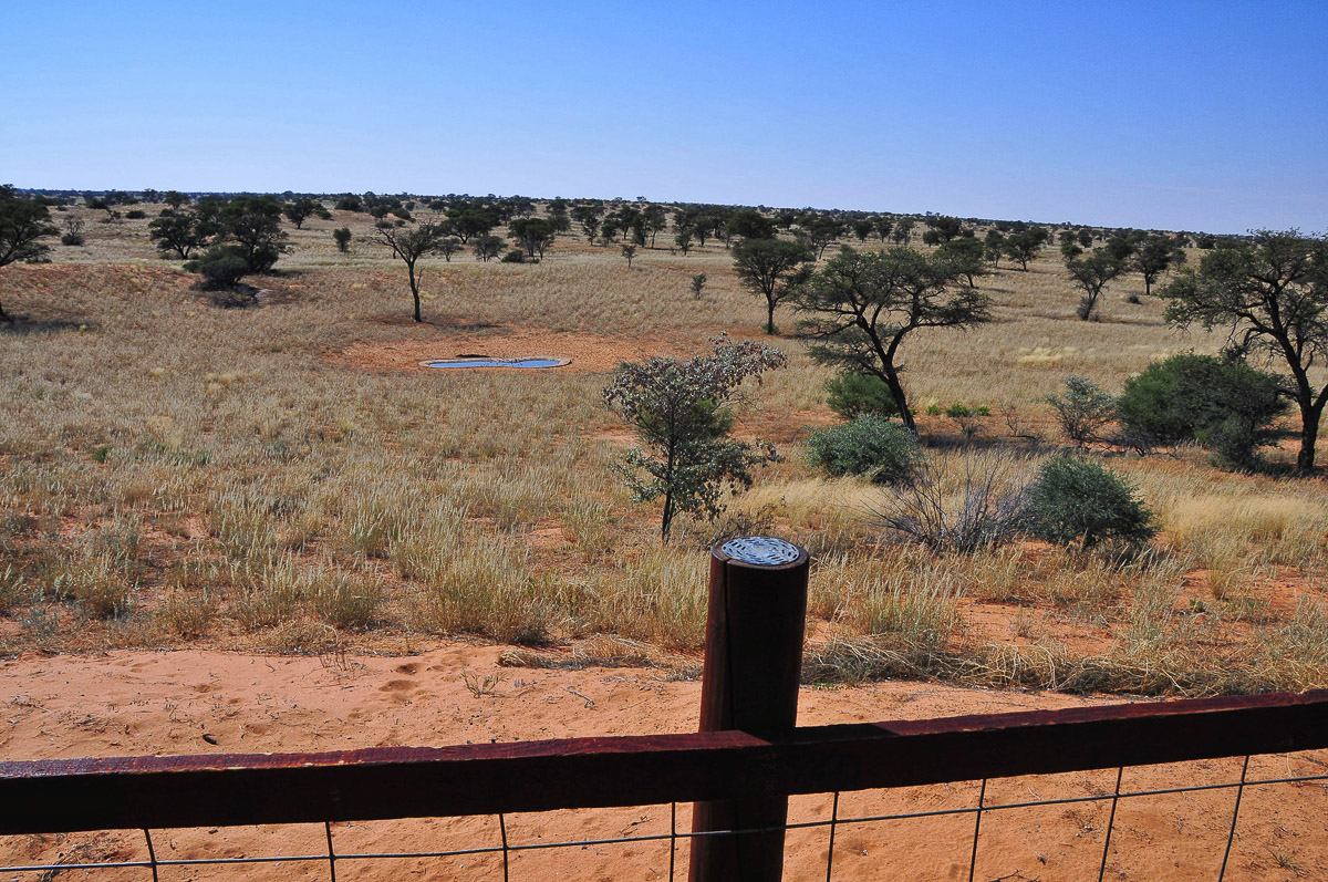 view from cabin two of the Gharagab waterhole