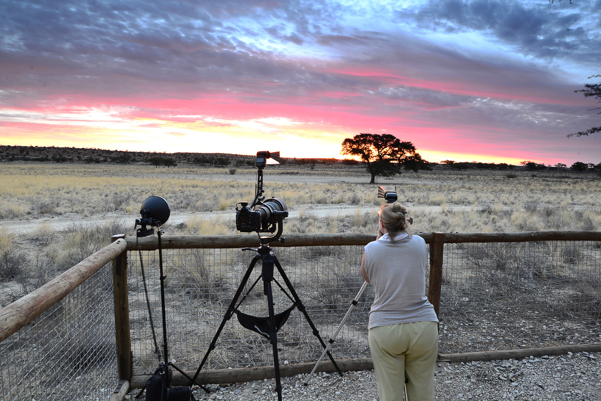 photographing lions at sunset at Grootkolk waterhole