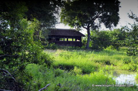 Gardenia Hide Kruger Park Gardenia Hide Kruger Park