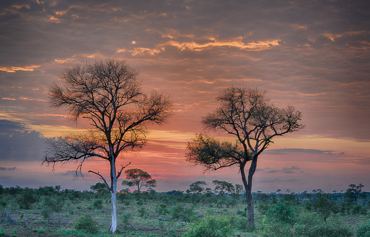Sunrise image taken on the H7 while staying at Tamboti tented camp in the Kruger National Park