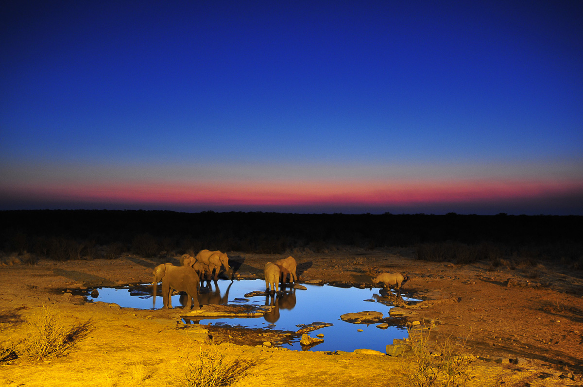 Sunset at Moringa in Halali with Elephant and rhino