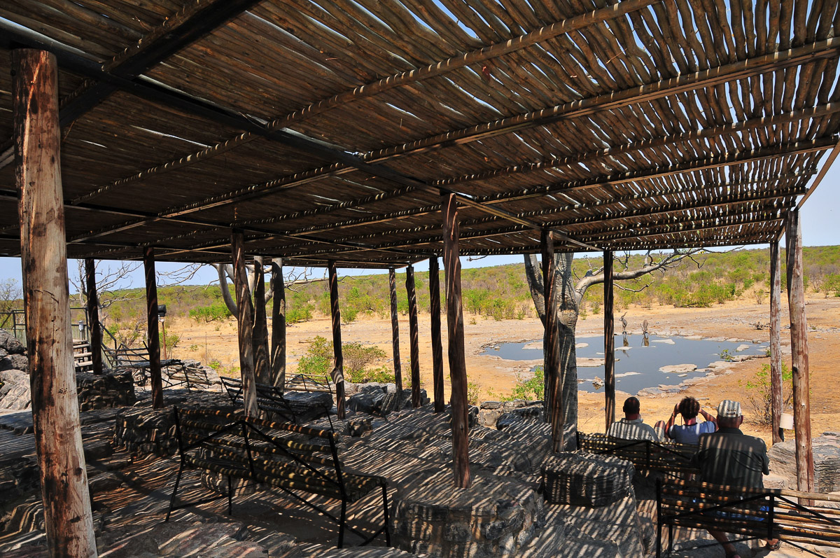 Moringa waterhole in Halali