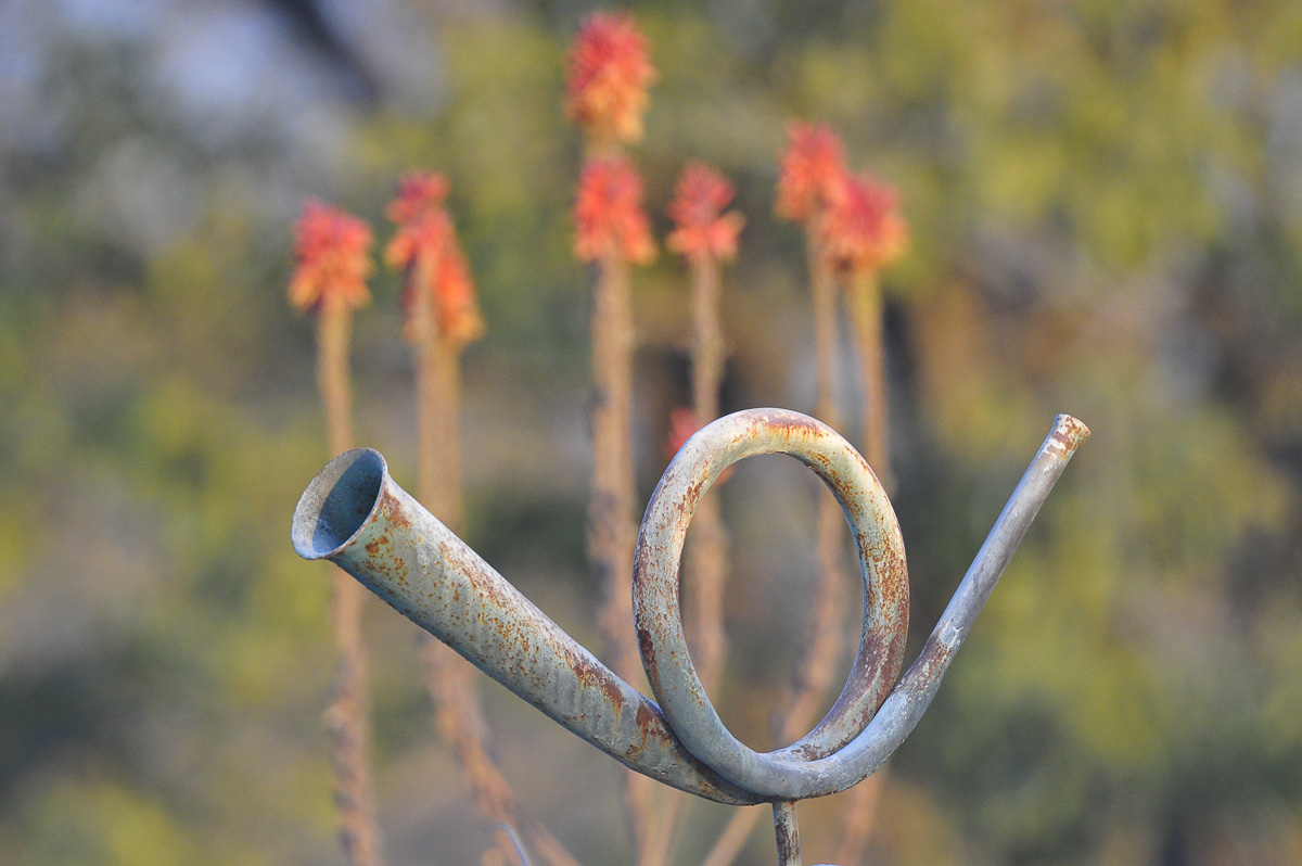 Halali bugle in Etosha