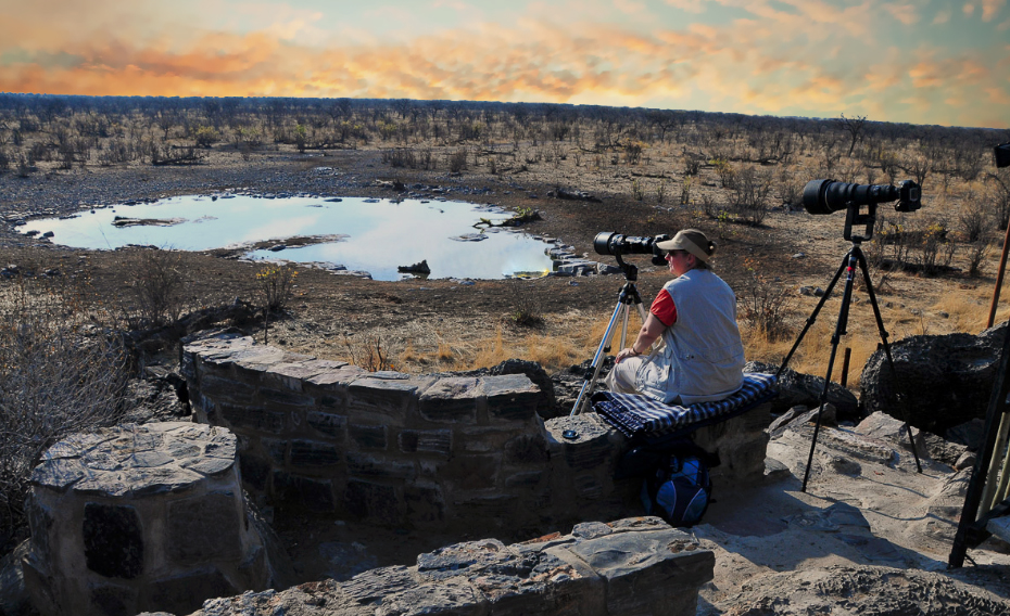 Halali camps Moringa waterhole