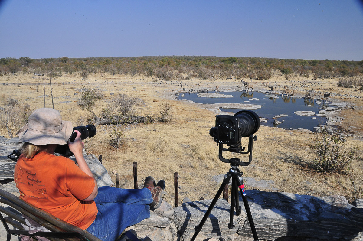 Jen photographing kudu at Moringa Halali camps waterhole