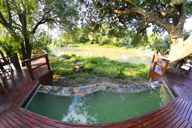 view from communal dining area view from communal dining area