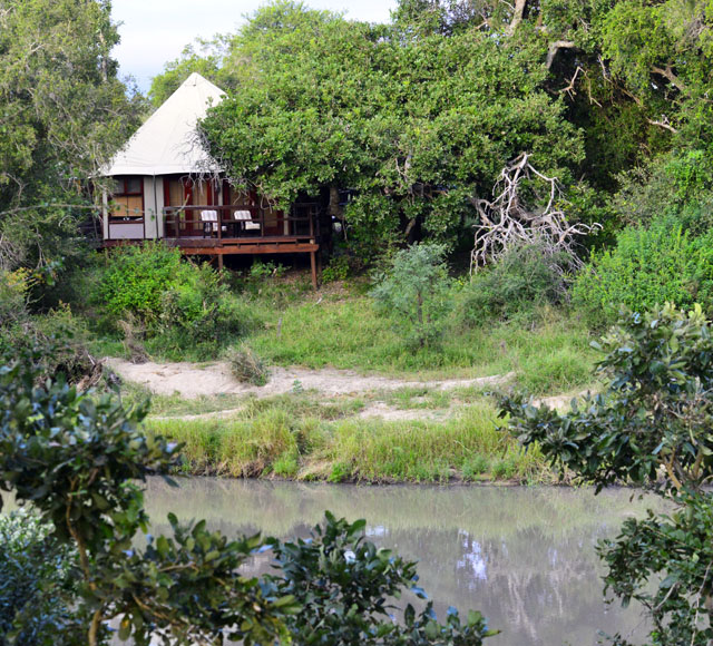 tent number 6 tent number 6