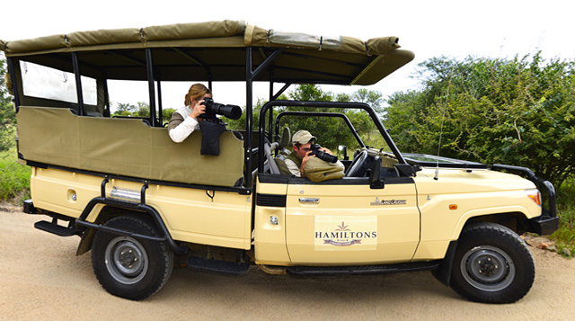 game viewing safari vehicle game viewing safari vehicle