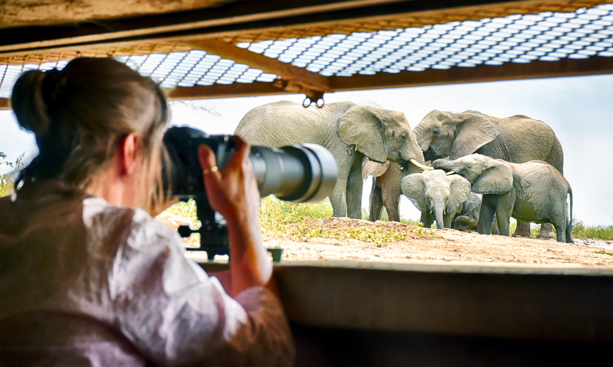 Last Word Madikwe underground hide 2