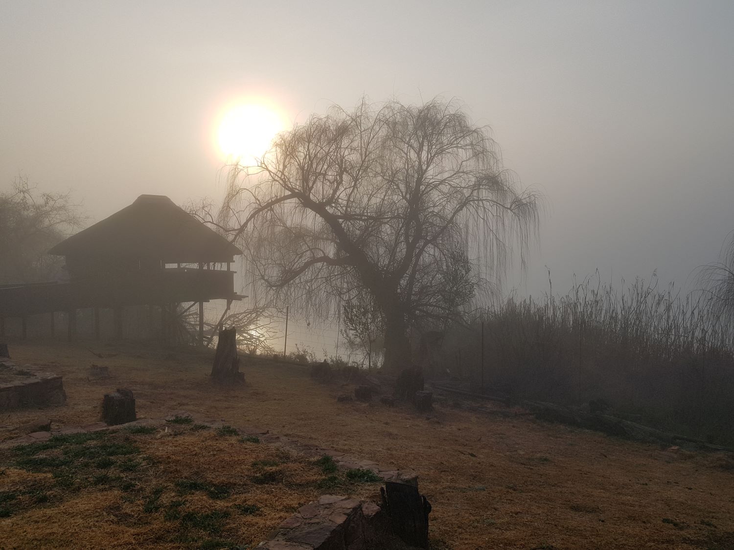 Rietvlei bird hide in mist Rietvlei bird hide in mist
