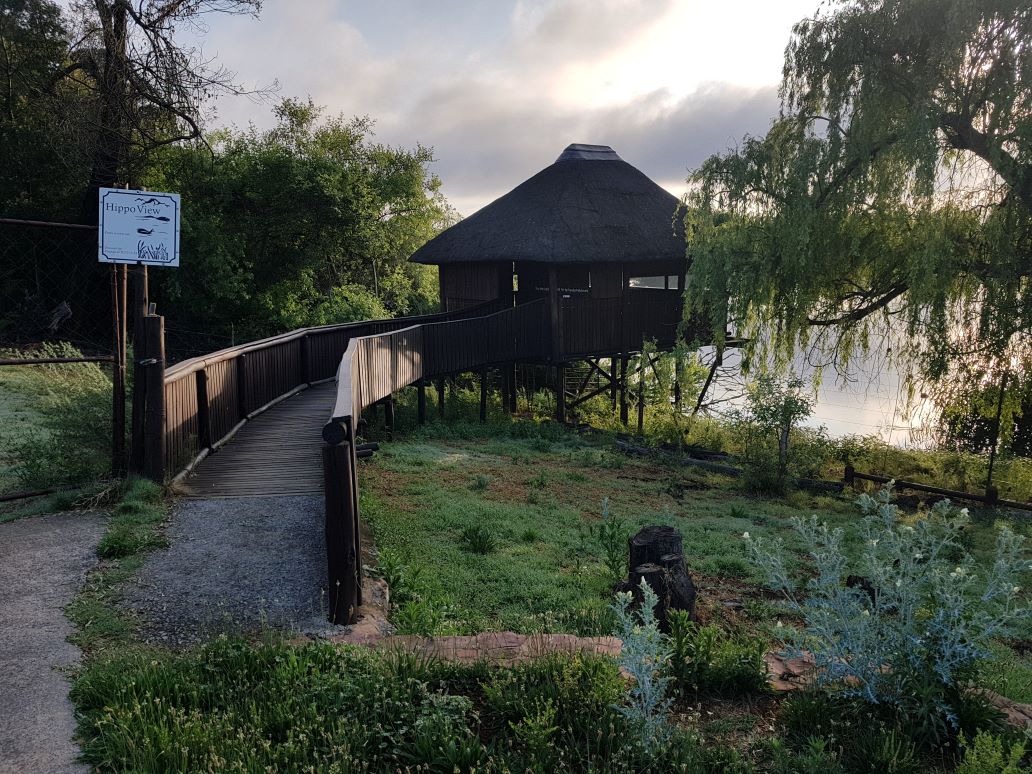 Hippo view hide Hippo view hide