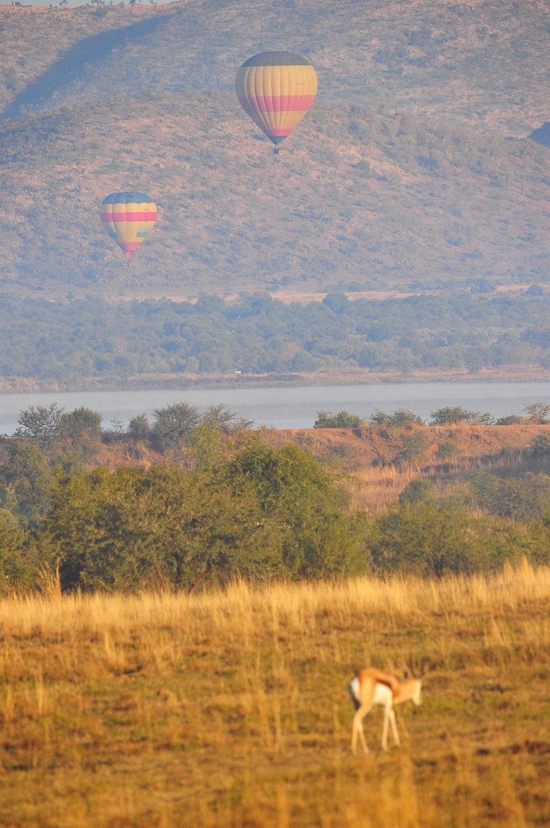 Hot air balloon safari in the Pilanesberg