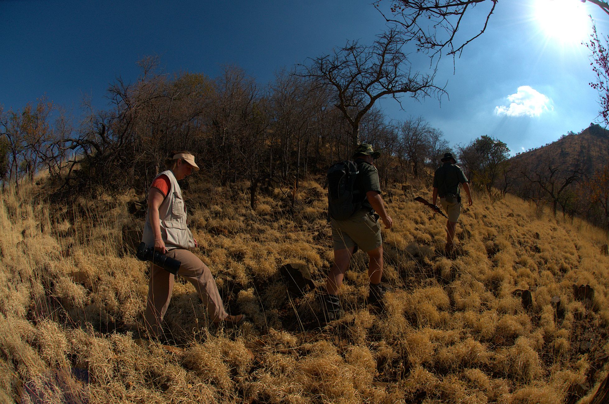 Ivory Tree guided walk in the Pilanesberg