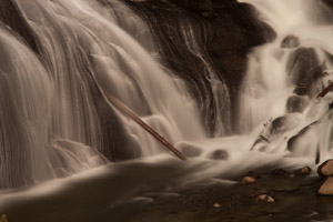 Yellowstone landscape