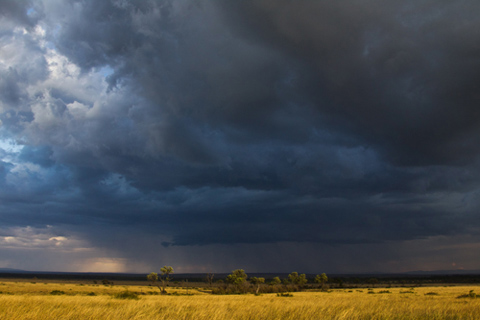 Cloudscape Cloudscape
