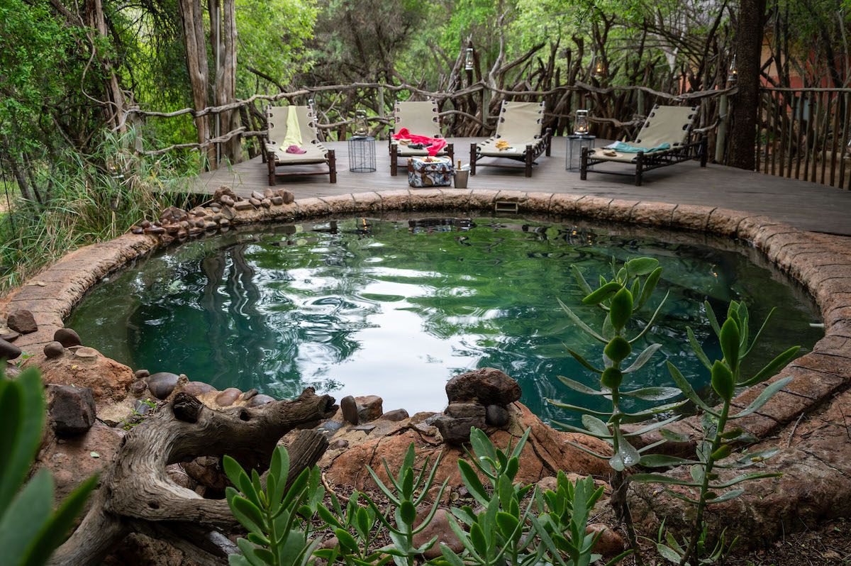swimming pool at Jacis Safari Lodge 