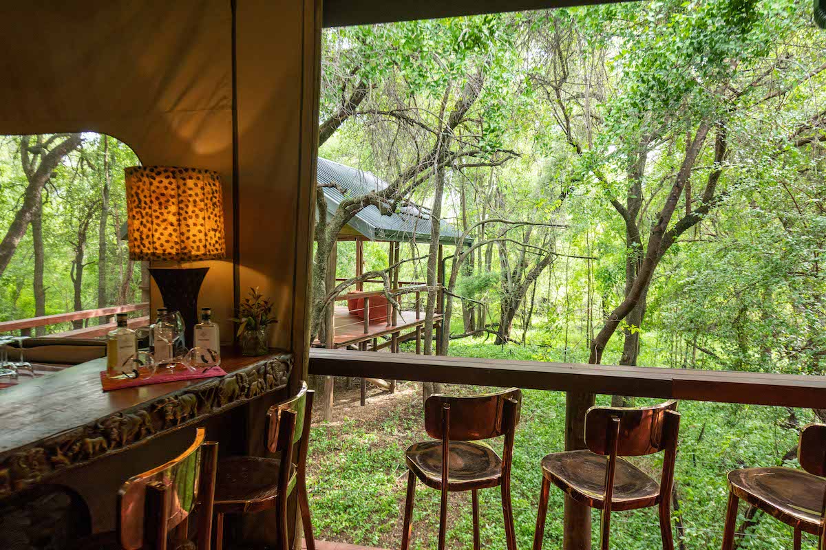 Jacis Tree Lodge Bar