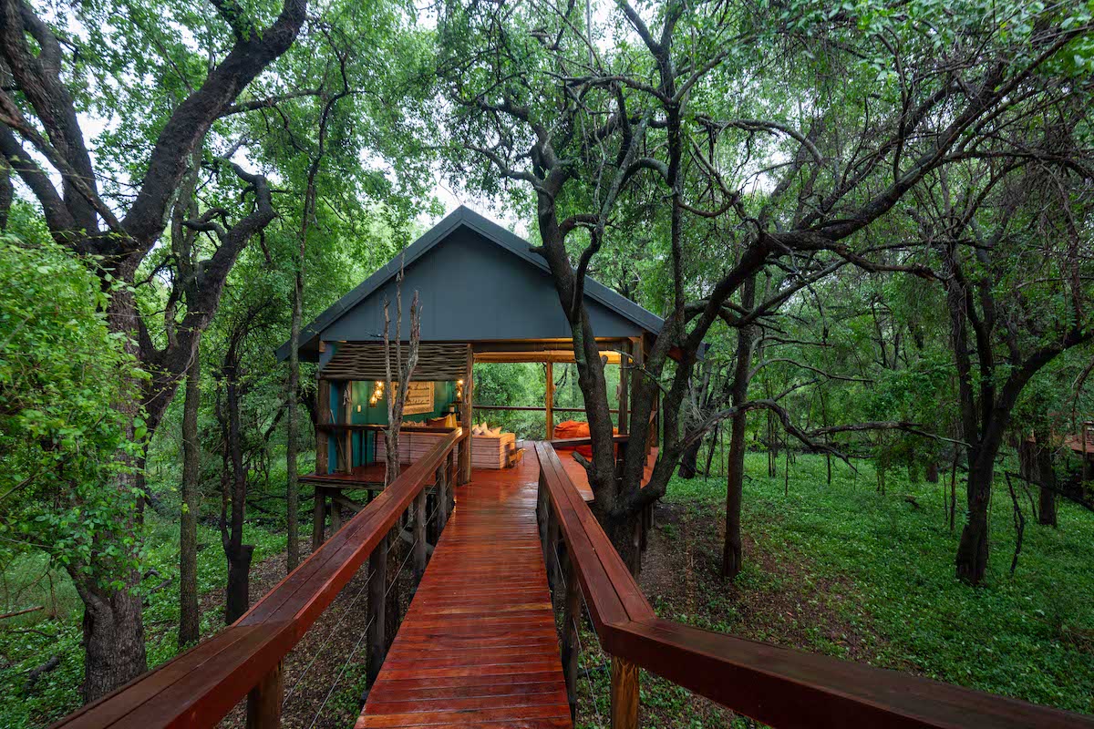 Jacis Tree Lodge walkway to their breakaway lounge