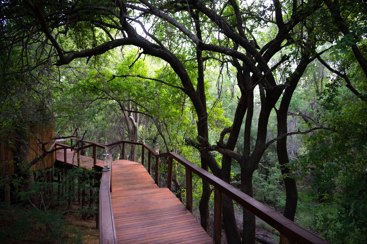 Jacis Tree Lodge walkways