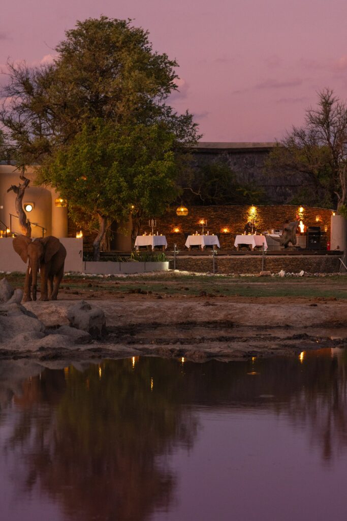 Elephant at night outside Jamala Madikwe Lodge Elephant at night outside Jamala Madikwe Lodge