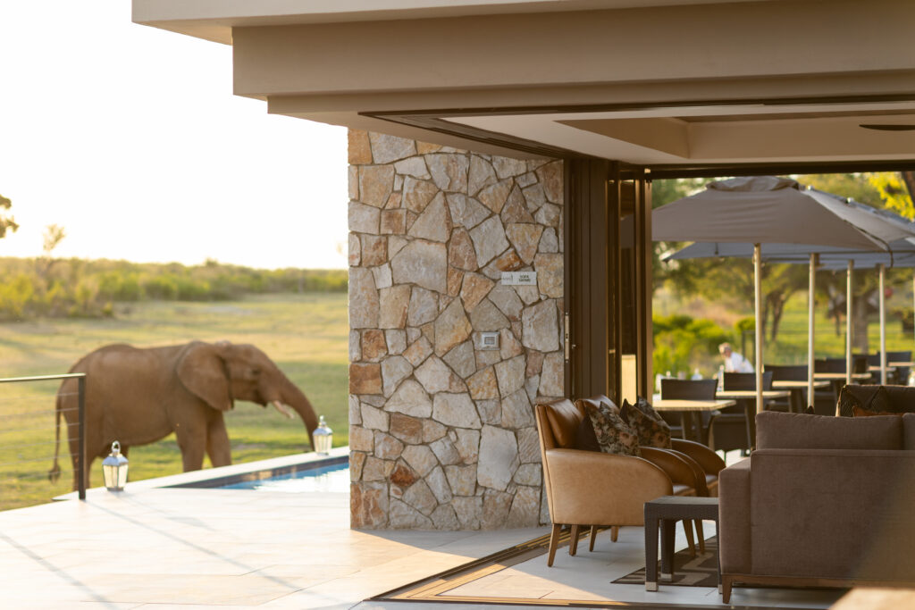 Jamala Madikwe waterhole with Elephant Jamala Madikwe waterhole with Elephant