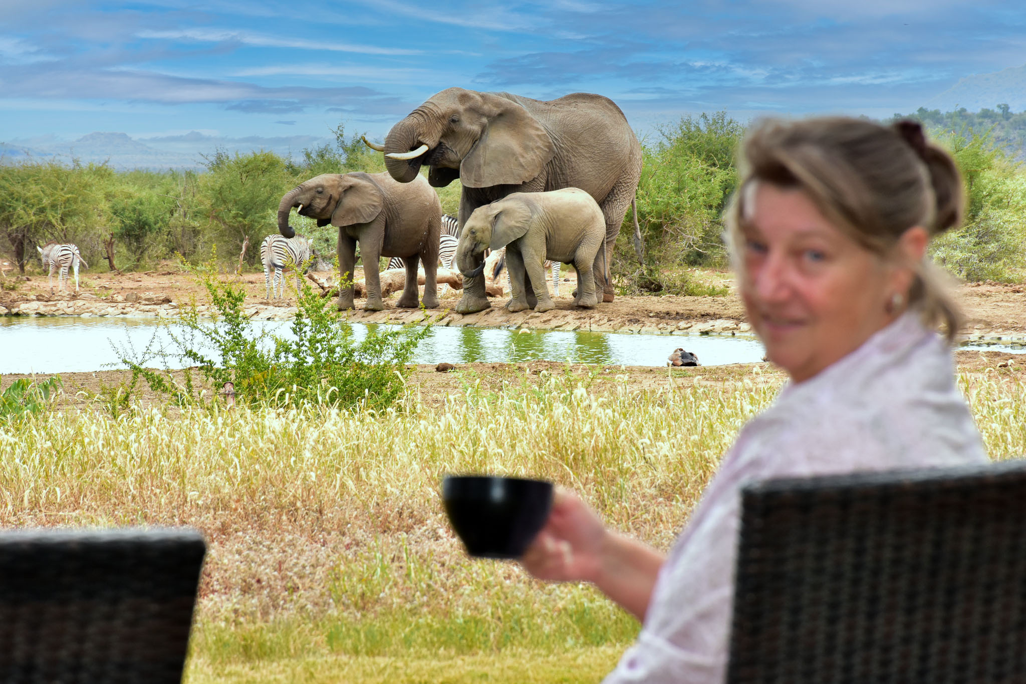 Jennifer watching elephnats while sipping her cappucino at Last Word Madikwe Jennifer watching elephnats while sipping her cappucino at Last Word Madikwe