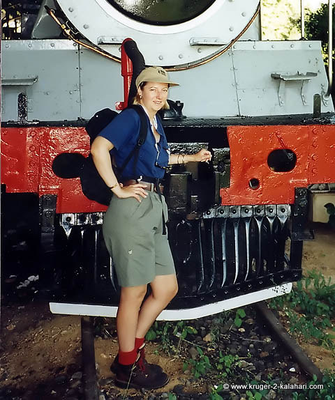 safari shorts at skukuza safari shorts at skukuza